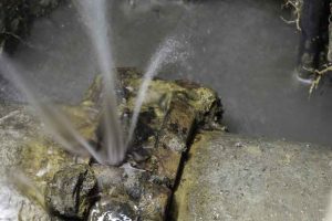 plumber in Otsego, MN