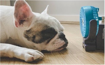 7-tips-to-help-you-stay-cool